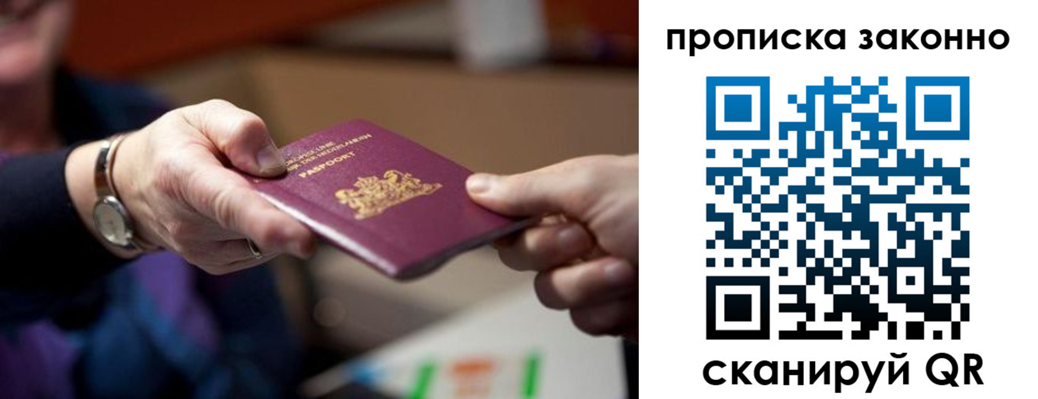 найти адрес прописки в Сертолово